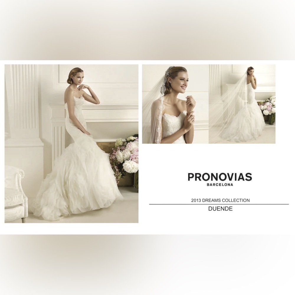 Pronovias Duende Wedding Dress
